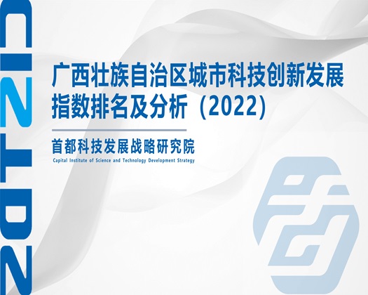 骚受路边求艹【成果发布】广西壮族自治区城市科技创新发展指数排名及分析（2022）